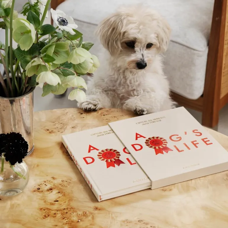 A Dog’s Life hundejournal