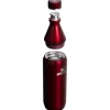 All Day termoflaske 0,6L garnet shine