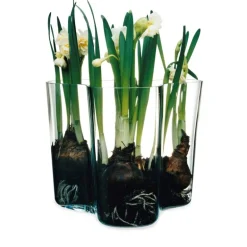 Alvar Aalto vase sett 2 stk 9,5 + 16 cm klar