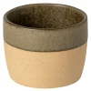 Arenito krus 20 cl olive