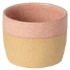 Arenito krus 20 cl rosa