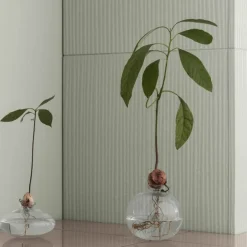 Avo vase 9,5 cm