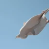Big Waffle badehånkle 150x100 cm stone
