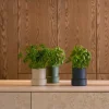 Billund selvvannende urtepotte 14x12 cm parsley
