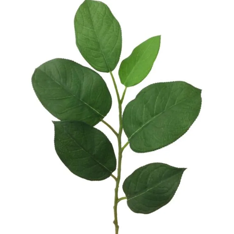 Blad 55 cm grønn