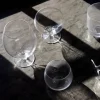 Blanka champagneglass 30 cl 2 stk klar