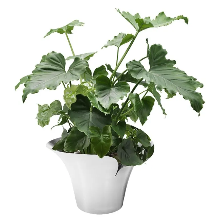 Bloom Botanica blomsterpotte stor 22,3 cm sølv