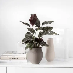Collier Carre vase 26 cm beige