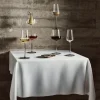 Essence rødvinsglass 45 cl 2 stk lin