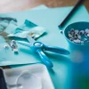 Fiskars Kids saks 2+ år blå