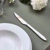 Gastro biffkniv 22 cm mirror polish