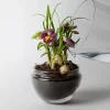 Grow urtepotte liten