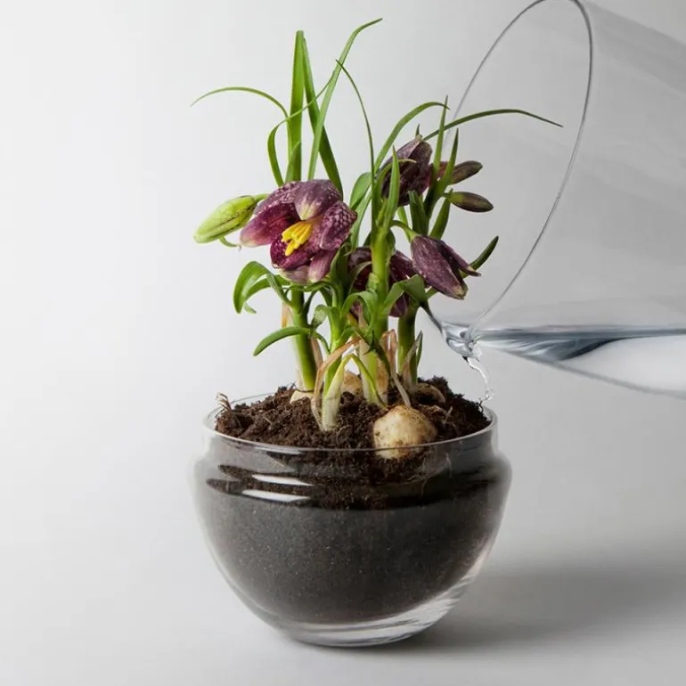 Grow urtepotte liten