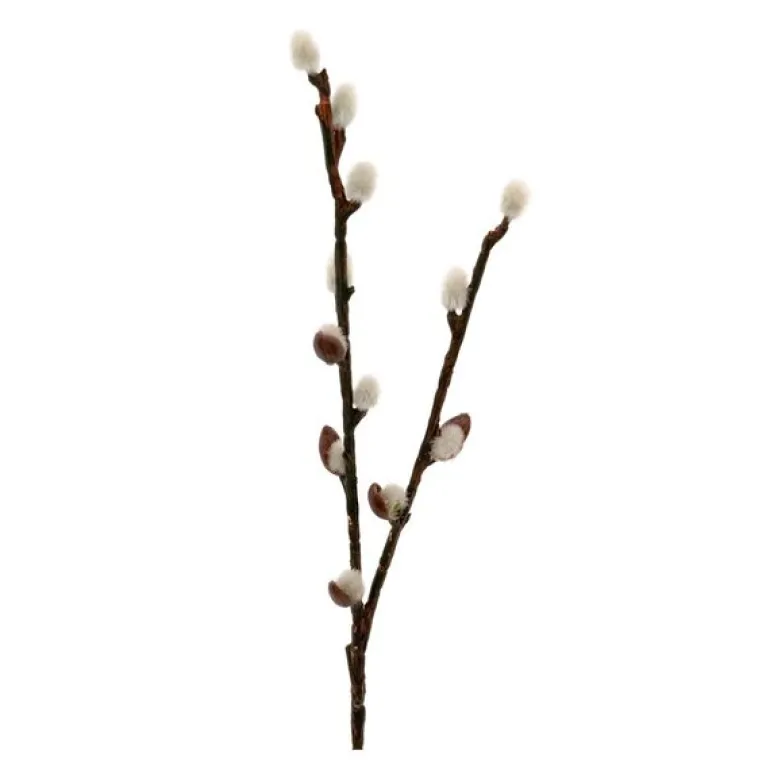 Gåsunger 36 cm grønn