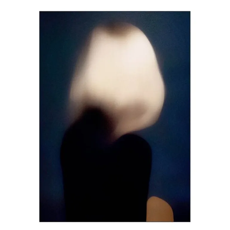 Gurilla poster 50x70 cm portrait m