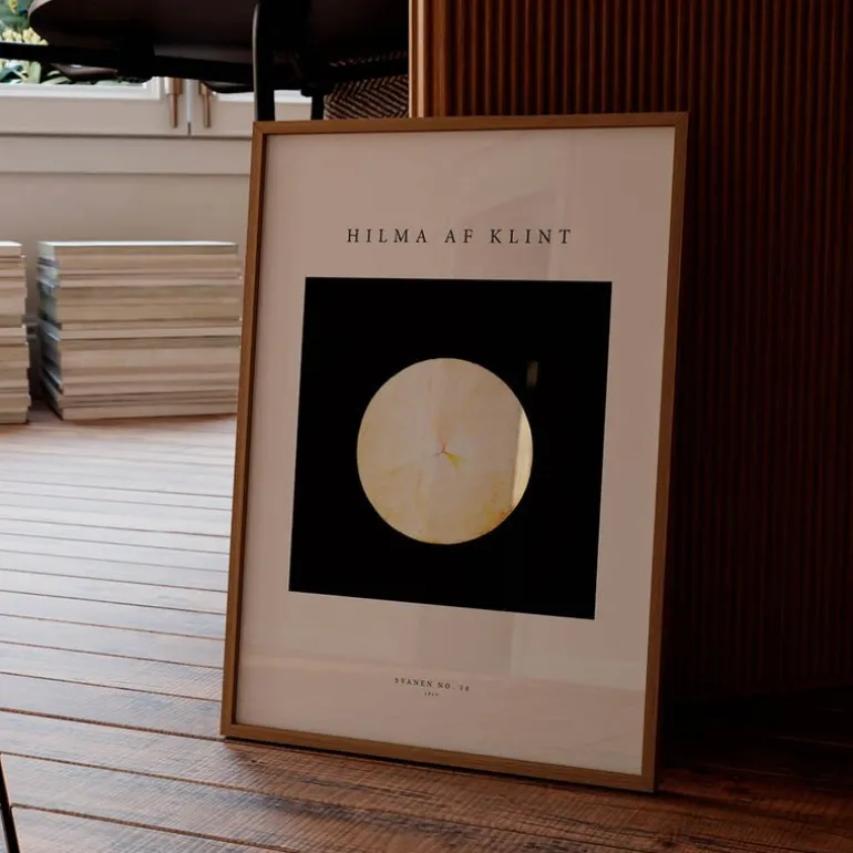 Hilma af Klint poster 50x70 cm svanen no. 14