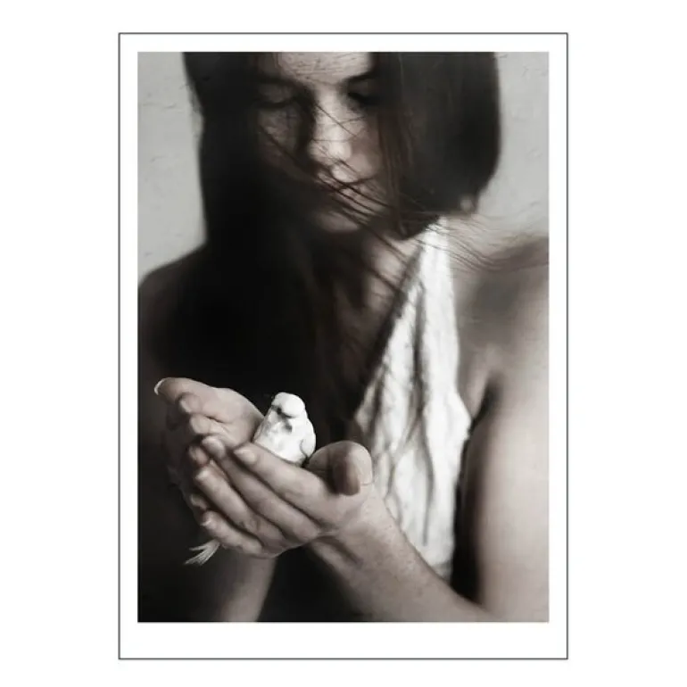 Ingrey Studio poster 50x70 cm girl & bird