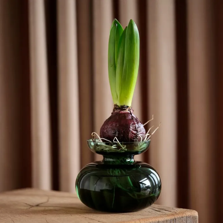 Inu svibelvase 11x9 cm moss green
