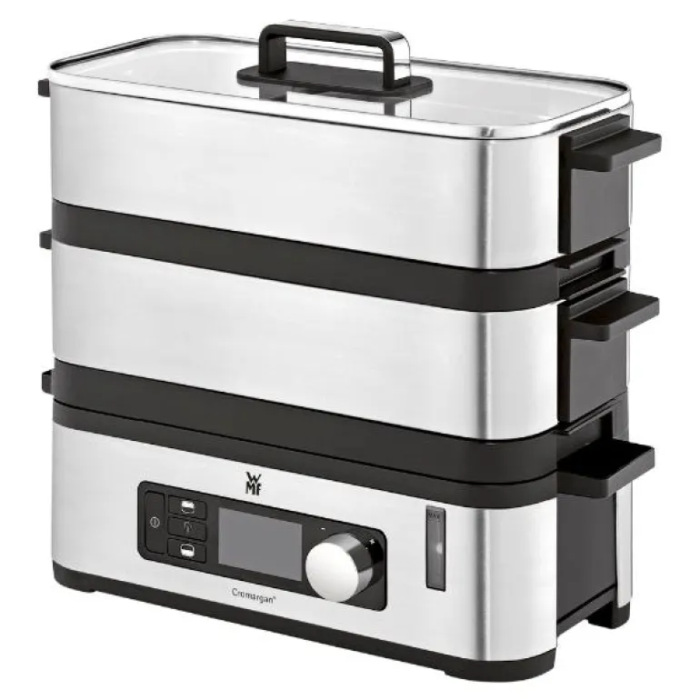 Kimis steamer 900W