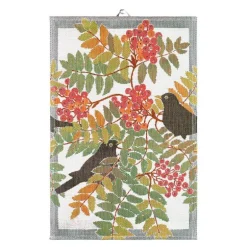 Koltrast kjøkkenhåndkle 40x60 cm