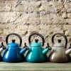 Kone vannkjele med fløyte 1,6L deep teal