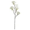 Lønneblomst 70 cm hvit