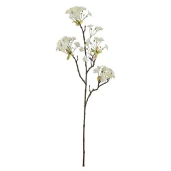 Lønneblomst 70 cm hvit