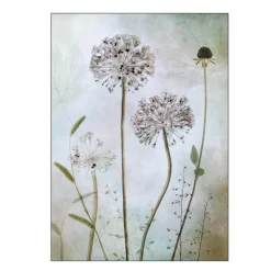 Mandy Disher poster 50x70 cm allium