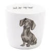 Moments of calm krus 30 cl hund