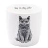 Moments of calm krus 30 cl katt