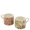 Morris & Co krus 34 cl 2 stk Fruit & Honeysuckle