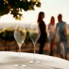 Notes champagneglass 38 cl 2 stk klar
