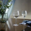 Perfection vinglass 43 cl