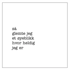 Servietter lunsj 33x33 cm 20 stk "heldig"