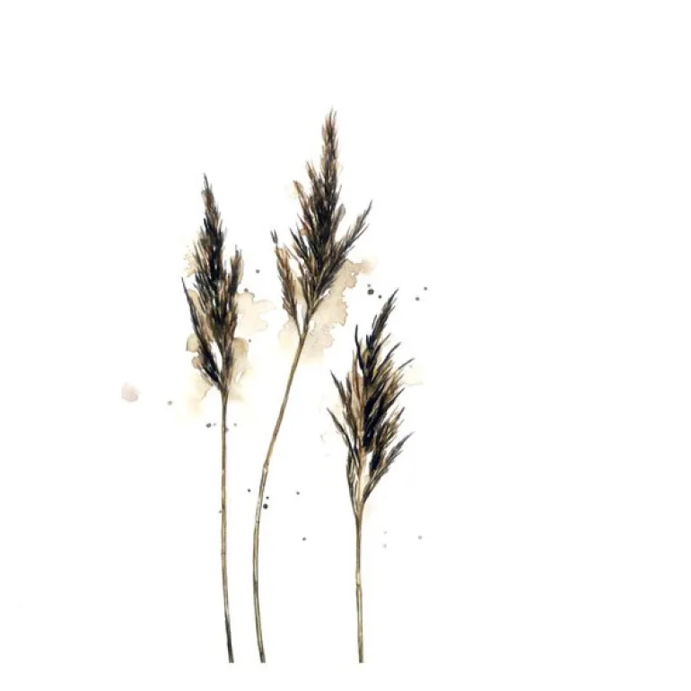 Servietter lunsj 33x33 cm 20 stk siv
