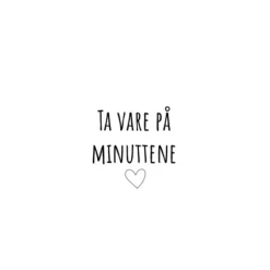 Servietter lunsj 33x33 cm 20 stk "ta vare på minuttene"