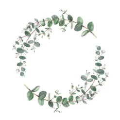 Serviett 33x33 cm 20 stk Eucalyptus Branche
