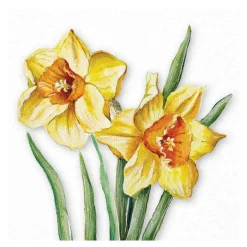 Serviett 33x33 cm 20 stk Flowering Daffodils