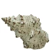 Shellille dekorasjon 7 cm lin