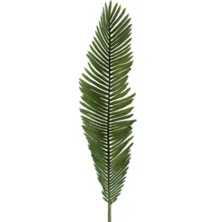 Silkeblomst cycas 55 cm