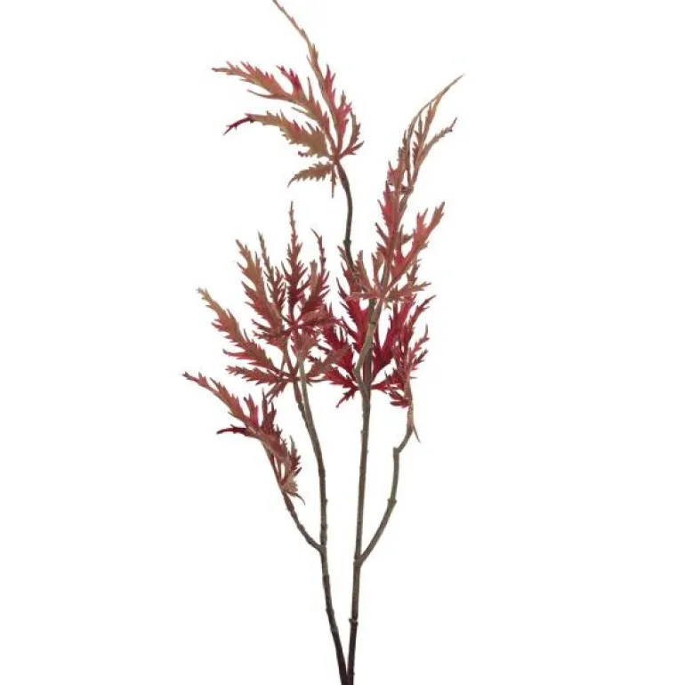 Silkeblomst japansk lønn 75 cm oransj