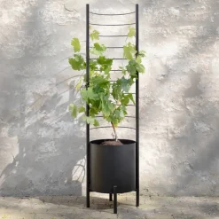 Simply Grow espalier til ytterpotte svart