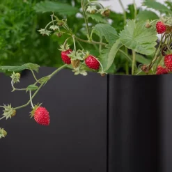 Simply Grow plantekasse svart