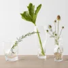 Squeeze tulipanvase 18 cm klar