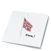 Store kunstkort norsk flagg