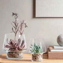 Sukkulent glassvase Ø15 cm
