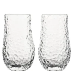 Swan vannglass 40 cl 2 stk klar