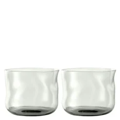 Swirl tumbler glass small 24 cl 2 stk Wave