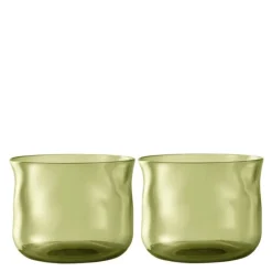Swirl tumbler glass small 24 cl 2 stk Moss