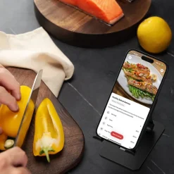 Sync One trådløst steketermometer Wifi & Bluetooth